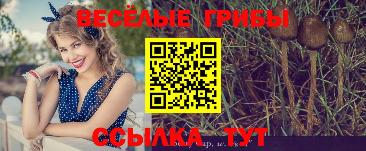 Псилоцибиновые грибы мицелий Щёлково